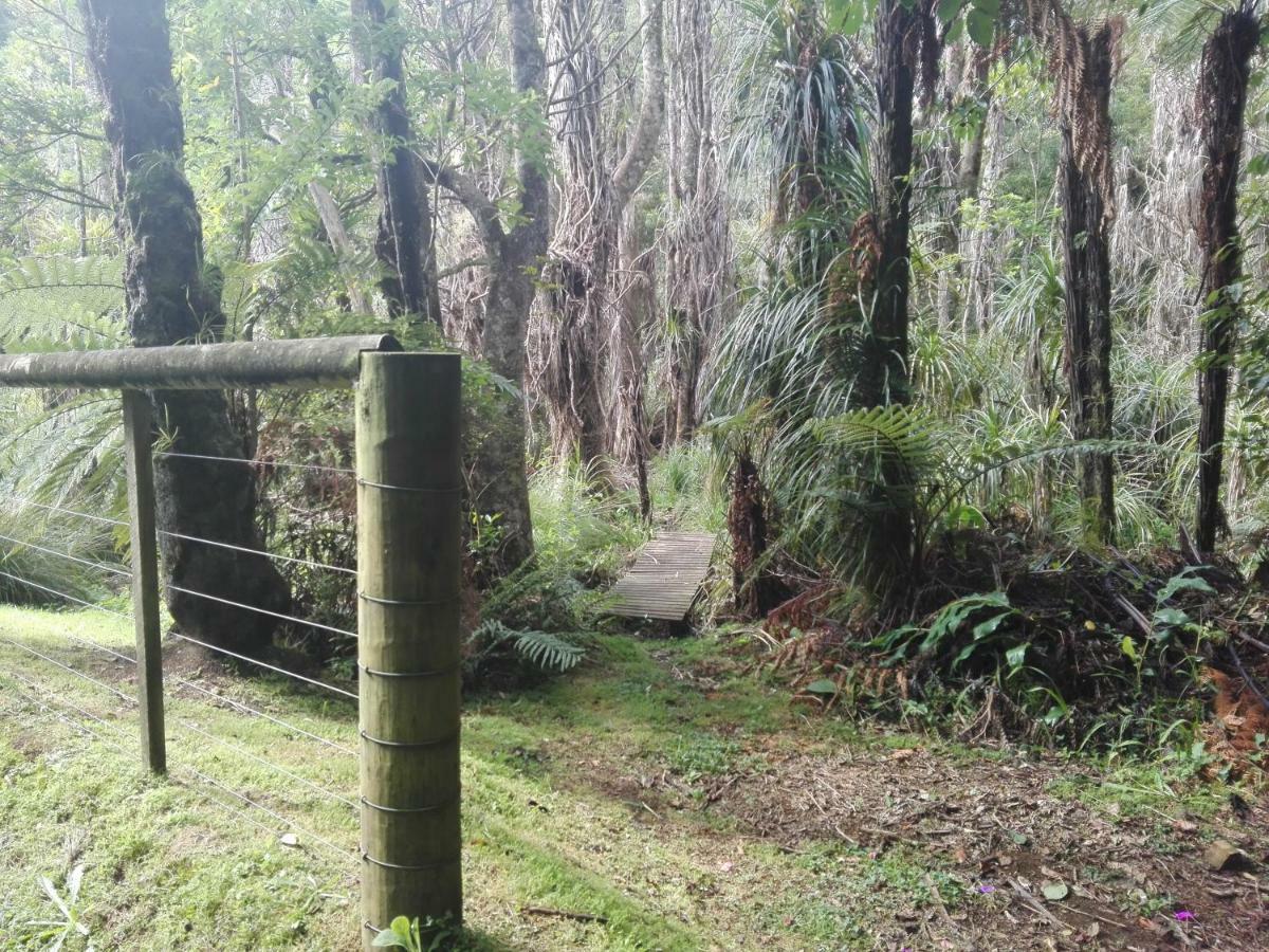 Taranaki Experience Daire New Plymouth Dış mekan fotoğraf