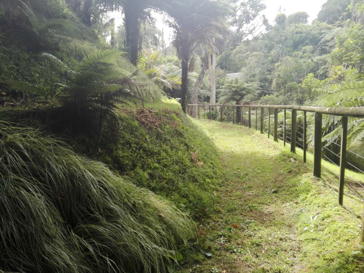 Taranaki Experience Daire New Plymouth Dış mekan fotoğraf
