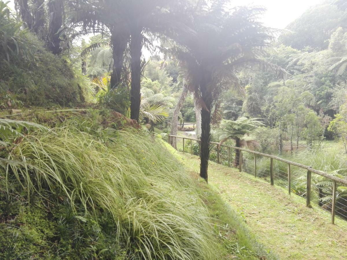 Taranaki Experience Daire New Plymouth Dış mekan fotoğraf
